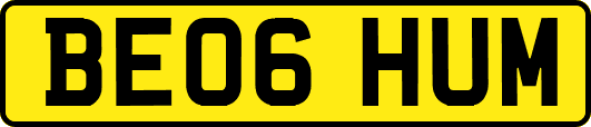 BE06HUM