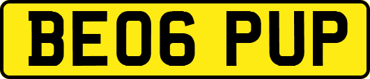 BE06PUP