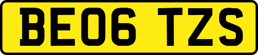 BE06TZS