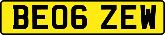 BE06ZEW