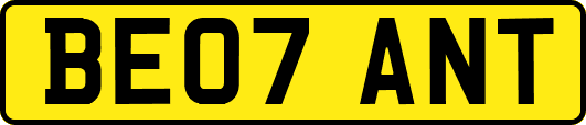 BE07ANT