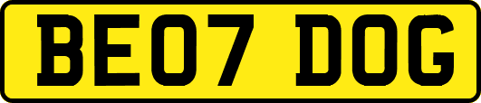 BE07DOG