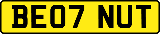 BE07NUT