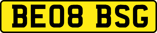 BE08BSG