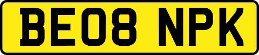 BE08NPK
