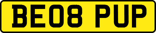 BE08PUP