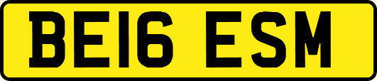 BE16ESM