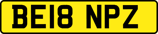 BE18NPZ