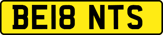 BE18NTS