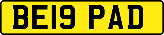 BE19PAD