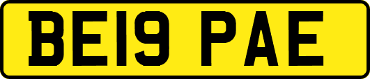 BE19PAE