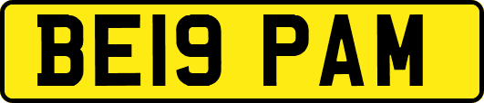 BE19PAM