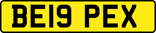 BE19PEX