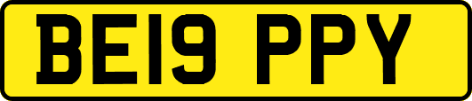 BE19PPY