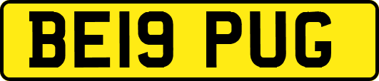 BE19PUG