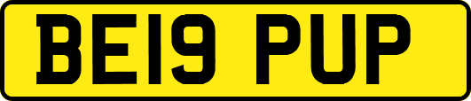 BE19PUP