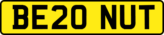 BE20NUT