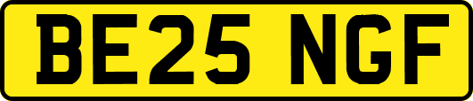 BE25NGF