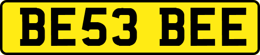 BE53BEE
