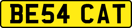 BE54CAT