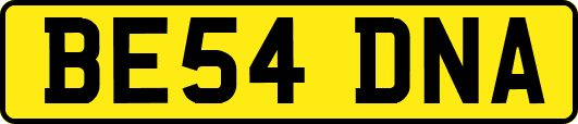 BE54DNA