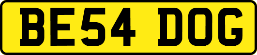 BE54DOG