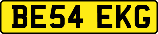 BE54EKG