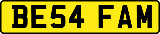BE54FAM