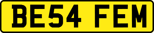 BE54FEM