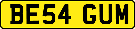 BE54GUM