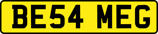 BE54MEG