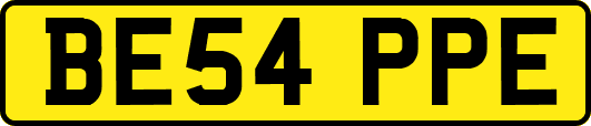 BE54PPE