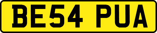 BE54PUA