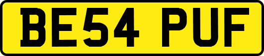 BE54PUF