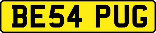 BE54PUG