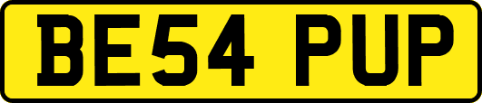 BE54PUP