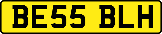 BE55BLH