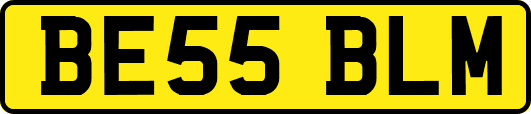 BE55BLM