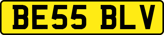 BE55BLV