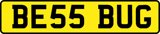 BE55BUG