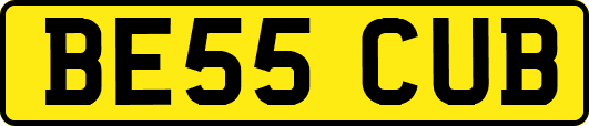 BE55CUB