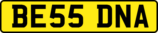 BE55DNA