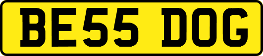 BE55DOG