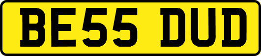 BE55DUD