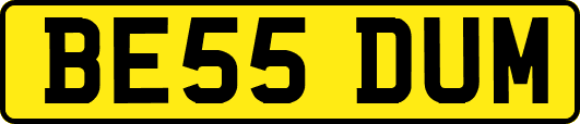 BE55DUM