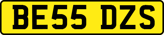 BE55DZS