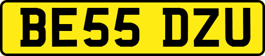 BE55DZU