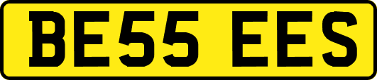 BE55EES