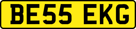 BE55EKG