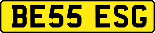 BE55ESG